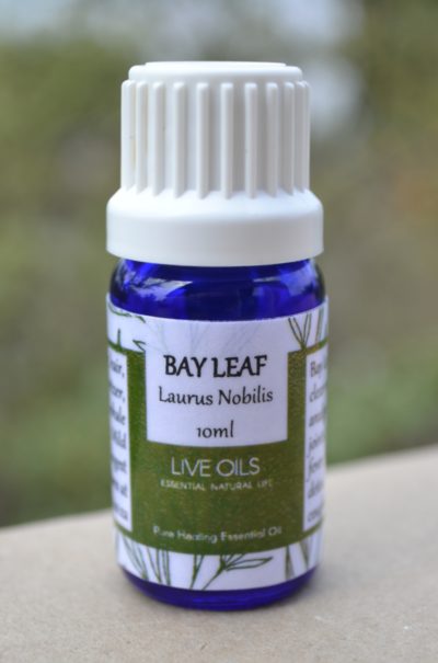 Alive Oils Bay Leaf Pure Essential Oil - This oil is a respiratory unclogger of coughing, bronchitis, an analgesic for sore muscles, joints, rheumatism, fever, lymph drainage, antibiotic and tonic.
