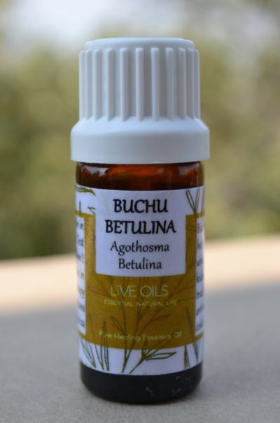 Alive Oils Buchu Betulina Pure Essential Oil - A diuretic, mild urinary antiseptic for kidney and urinary tract bladder infections. anti-spasmodic, prostatitis, colds, arthritis, detoxing insect repellent