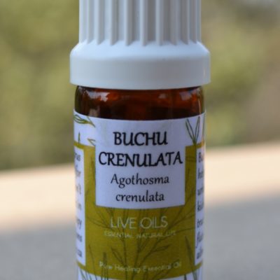 Purchase from Alive Oils – Buchu Crenulata Pure Essential Oil – An excellent diuretic, mild anti-septic disinfectant for kidney, urinary tract bladder infections, prostate, colds, gout, arthritis.