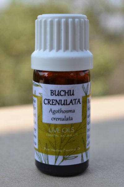 Purchase from Alive Oils – Buchu Crenulata Pure Essential Oil – An excellent diuretic, mild anti-septic disinfectant for kidney, urinary tract bladder infections, prostate, colds, gout, arthritis.