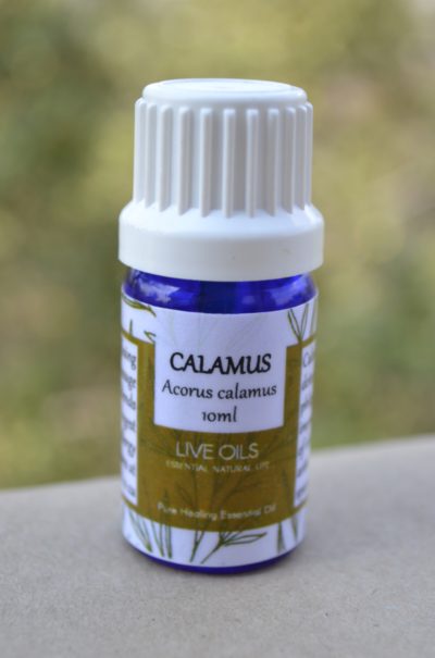 Alive Oils Calamus Pure Essential Oil - An insect-repellent, strengthens circulation for rheumatism and arthritis, calms nervous spasmodic ailments and unclogs phlegm in bronchitis.