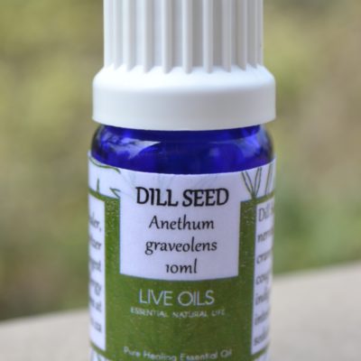 Alive Oils Dill Seed Pure Essential Oil - Anethum graveolens - Dill Oil calms insomnia, ADHD, diabetes, antihistamine for allergies, pain-calming oil for cramping muscles, dyspepsia, and a disinfectant.