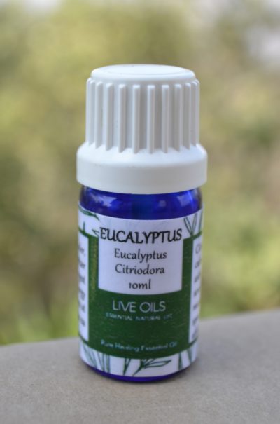 Alive Oils Eucalyptus Citriodora Pure Essential Oil - An anti-fungal disinfectant for fungal infections, athlete's foot, expectorant for phlegm, asthma, laryngitis, sore throats, and herpes virus.