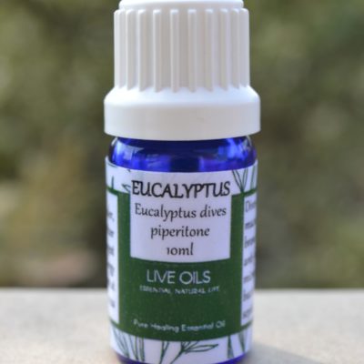 Alive Oils Eucalyptus Dives Piperitone Pure Essential Oil - This bronchial mucolytic unclogs phlegm from chest colds and bronchitis with anti-bacterial, anti-septic, anti-microbial pain-calming actions.