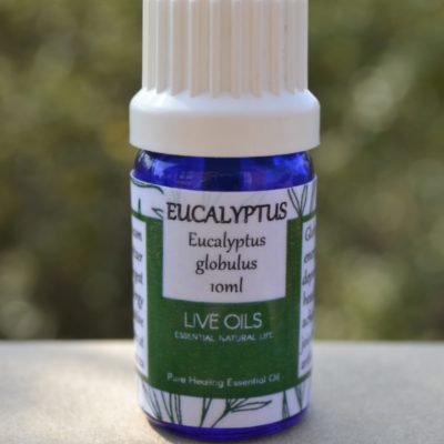 Purchase from Alive Oils, Eucalyptus Globulus Pure Essential Oil that is excellent for coughs, colds, sore throat, unclogs, asthma, bronchitis, mind energising, depression and healer of skin.