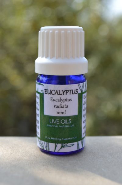 Alive Oils Eucalyptus radiata Pure Essential Oil - A strong anti-bacterial disinfectant for respiratory infections, bronchitis, coughs, phlegm, pain-calming sore joints, and fresh deodorisers.