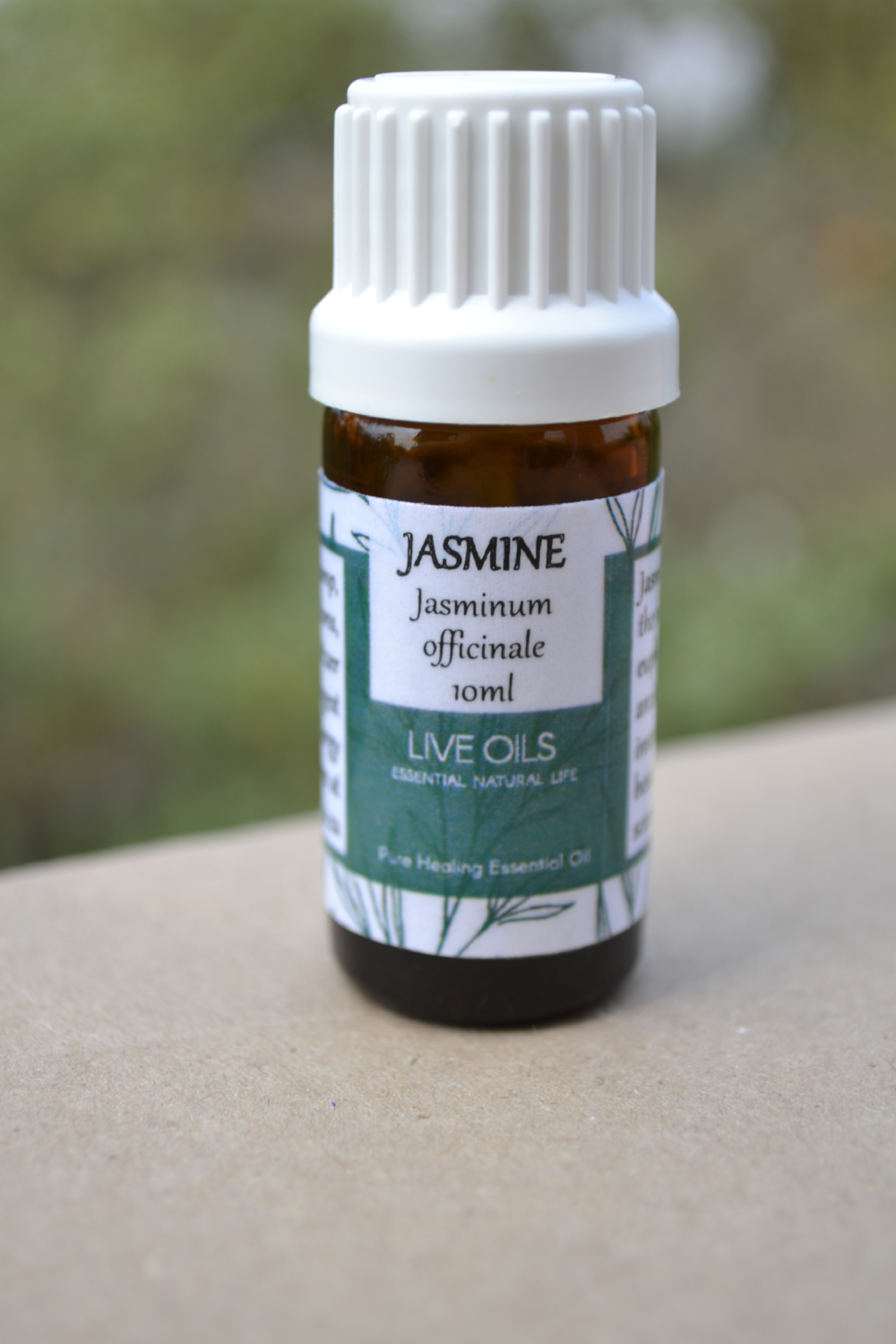 Menopause PMS Skin Beauty | Jasmine Pure Essential Oil (Jasminum ...