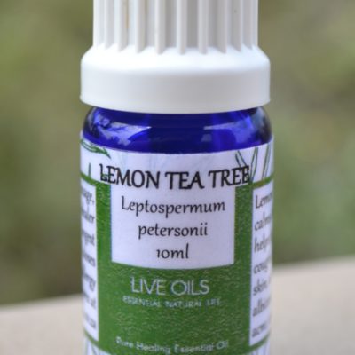 Alive Oils, Lemon Tea Tree Pure Essential Oil - Leptospermum petersonii -A strong anti-bacterial air freshener that calms stress, tight chest, coughs, colds, oily skin, a strong anti-fungus oil for Candida albicans.