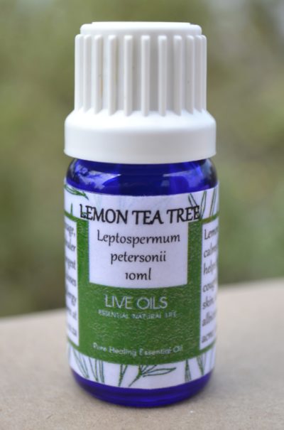 Alive Oils, Lemon Tea Tree Pure Essential Oil - Leptospermum petersonii -A strong anti-bacterial air freshener that calms stress, tight chest, coughs, colds, oily skin, a strong anti-fungus oil for Candida albicans.