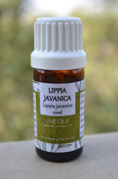 Alive Oils Lippia Javanica Pure Essential Oil - This oil is a strong chest tonic, disinfectant, chronic coughing, phlegm, bronchitis, colds, pleuritic symptoms, asthma, nosebleeds, rashes.