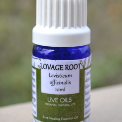 Alive Oils Lovage Root Pure Essential Oil - Levisticum officinalis - A detoxing depurative, diuretic, nervine, stress, blood pressure, heart tonic, menstrual regulator, expectorant, anti-bacterial disinfectant.
