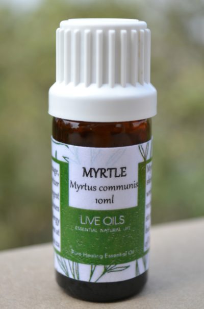Alive Oils Myrtle Pure Essential Oil - Myrtus communis - Myrtle is an excellent anti-bacterial skin tonic for oily skin, hemorrhoids, prevents bleeding in sores, and a fresh, disinfectant deodorant.