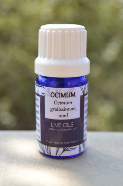 Alive Oils Ocimum gratissimum Pure Essential Oil - A disinfectant for bronchitis, coughs, phlegm, mind energising, inhalation improves focus, calms stress, repels insects and mosquitoes.