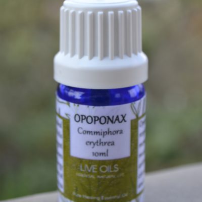 Alive Oils Opoponax Pure Essential Oil - Commiphora erythrea - This oil unclogs phlegm from tight chests, pain-calming circulant, sore muscles, joints, rheumatism, arthritis, disinfectant, and tonic.