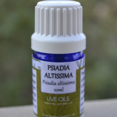 Alive Oils Psiadia Altissima Pure Essential Oil - An excellent moisturising oil for dry skin, extreme itching skin ailments, colds, bronchitis, coughs, sinus, pain-calming, calms the mind.