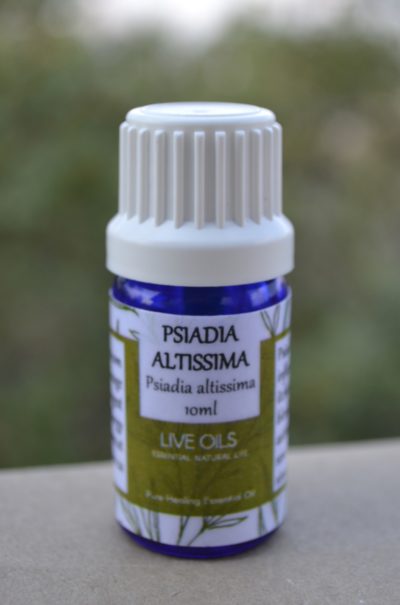 Alive Oils Psiadia Altissima Pure Essential Oil - An excellent moisturising oil for dry skin, extreme itching skin ailments, colds, bronchitis, coughs, sinus, pain-calming, calms the mind.