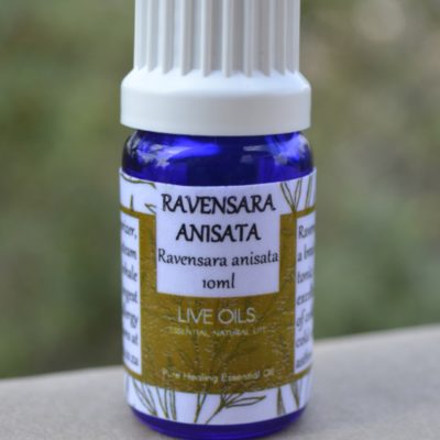 Alive Oils Ravensara Anisata Pure Essential Oil – This pain-calming oil for muscle pain is a brain and nerve tonic, excellent anti-viral for colds, respiratory infections, and disinfectant.
