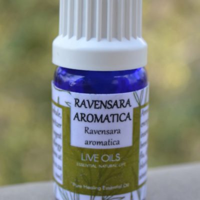 Alive Oils Ravensara Aromatica Pure Essential Oil - Ravensara aromatica is excellent for the herpes virus, shingles, unclogs allergies, bronchitis, colds, pain-calming for arthritic joints.