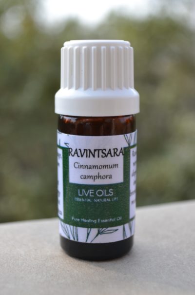 Alive Oils Ravintsara Pure Essential Oil - Cinnamomum camphora - Nerves, depression, strengthens immune health, flu, bronchitis, asthma, pain-calming for muscle pain, arthritis, shingles, moisturiser, skin.