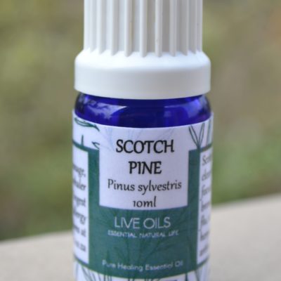 Alive Oils Scotch Pine Pure Essential Oil - Pinus sylvestris - Energising, pain-calming, detox, anti-viral for sore throats, bronchitis, colds, athlete’s foot, herpes, psoriasis, arthritis, and deodorant.