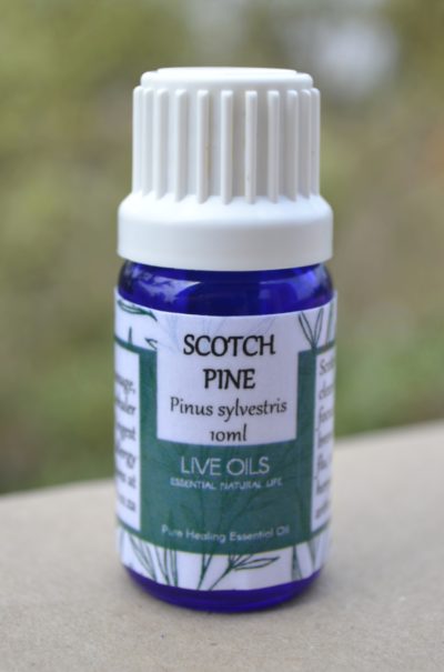 Alive Oils Scotch Pine Pure Essential Oil - Pinus sylvestris - Energising, pain-calming, detox, anti-viral for sore throats, bronchitis, colds, athlete’s foot, herpes, psoriasis, arthritis, and deodorant.