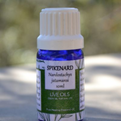 Alive Oils Spikenard Pure Essential Oil - Nardostachys jatamansi - A strong anti-inflammatory, mind energising oil for nerves, stress, depression, epilepsy, dermatitis, psoriasis, eczema, and rheumatism.