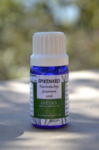 Alive Oils Spikenard Pure Essential Oil - Nardostachys jatamansi - A strong anti-inflammatory, mind energising oil for nerves, stress, depression, epilepsy, dermatitis, psoriasis, eczema, and rheumatism.