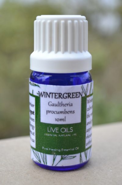 Alive Oils Wintergreen Pure Essential Oil - Gaultheria procumbens A strong pain calming detoxer for gout, sore joints, muscular pain, arthritis, rheumatism, menstrual pain, lumbago, neuralgia and lymph flow.